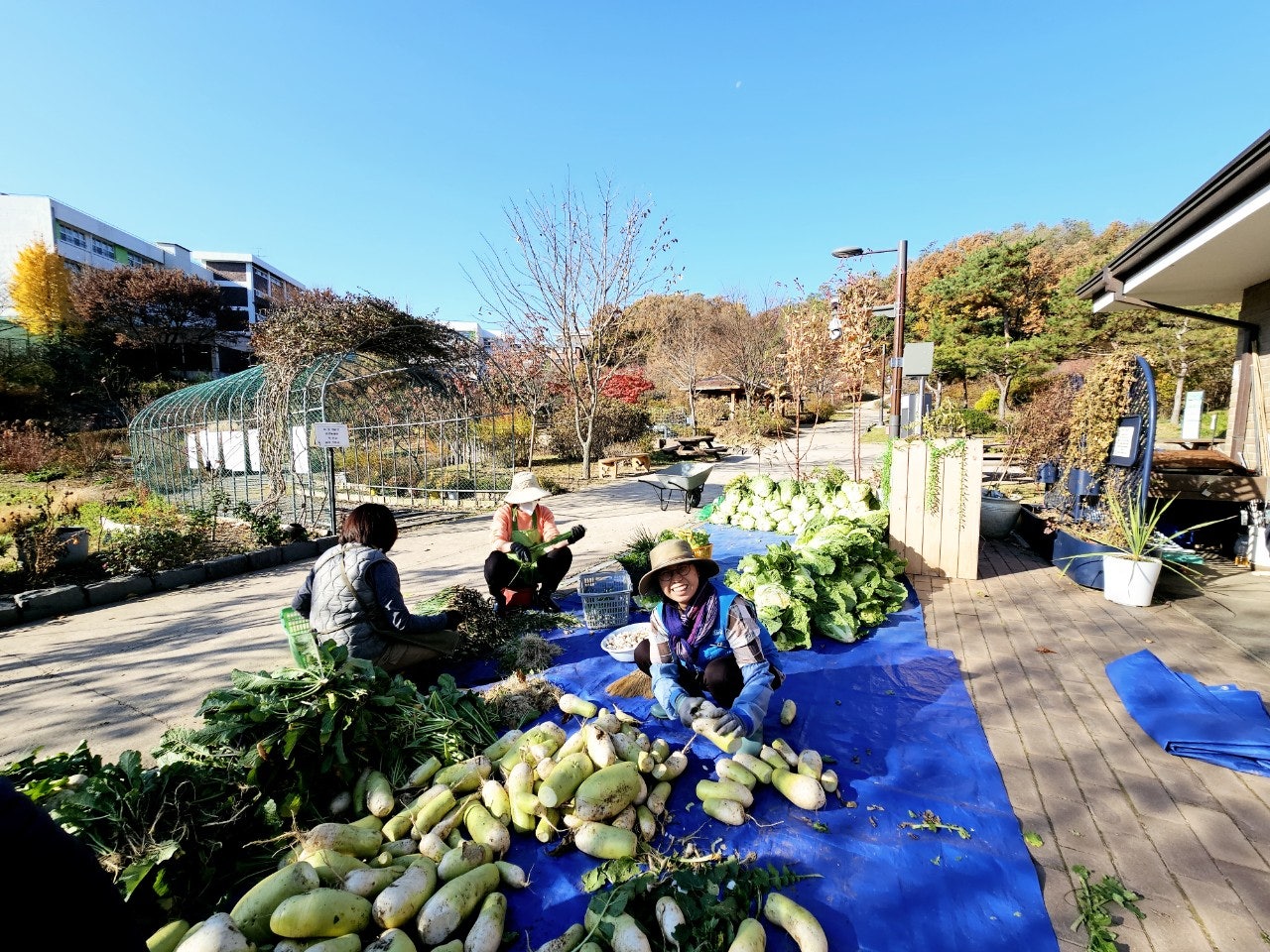 사용자가 올린 이미지
