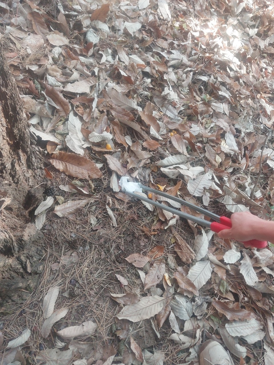 사용자가 올린 이미지