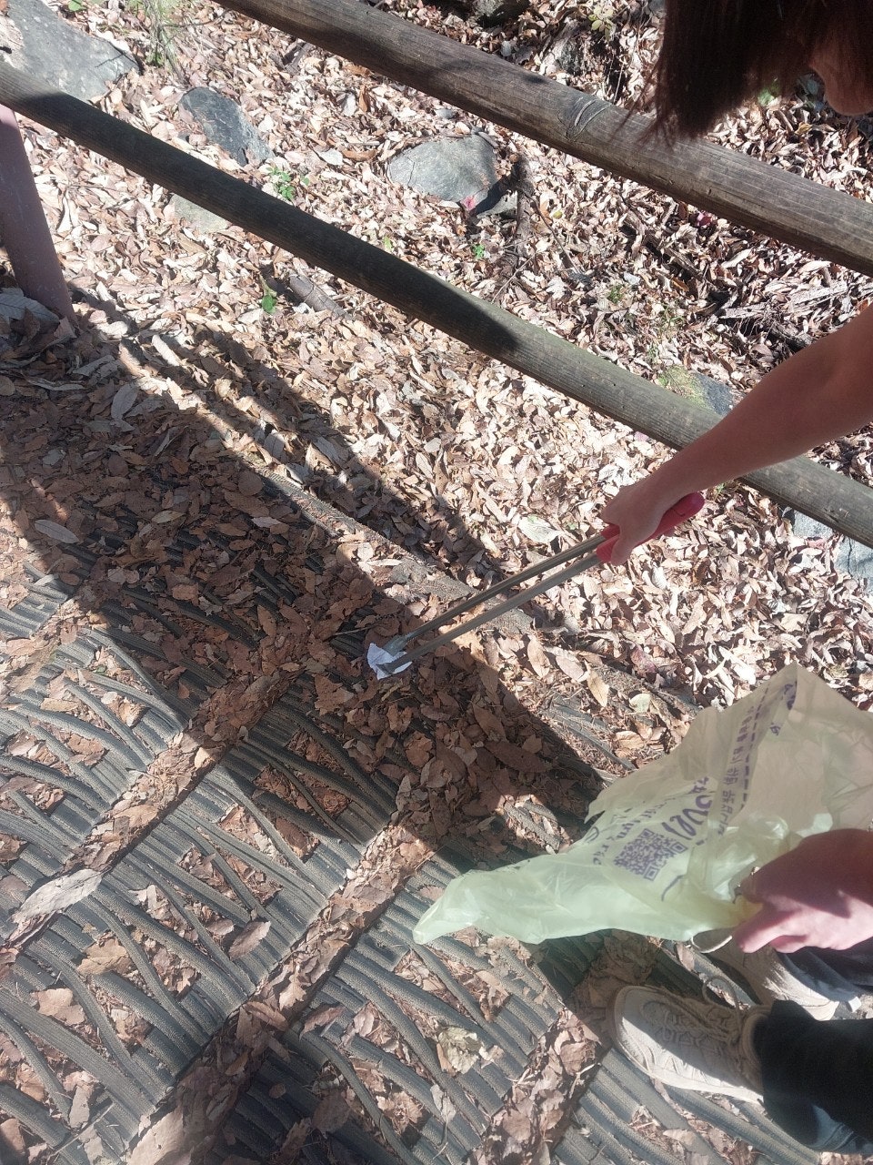 사용자가 올린 이미지