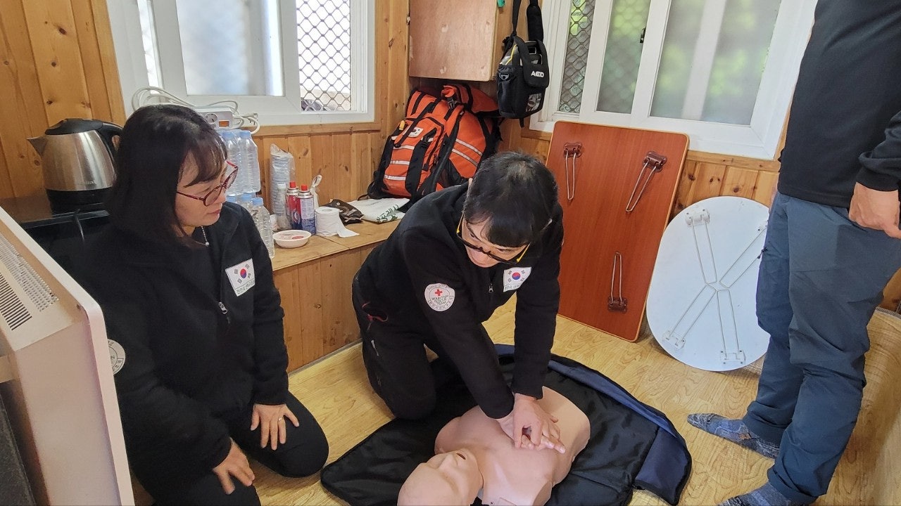 사용자가 올린 이미지