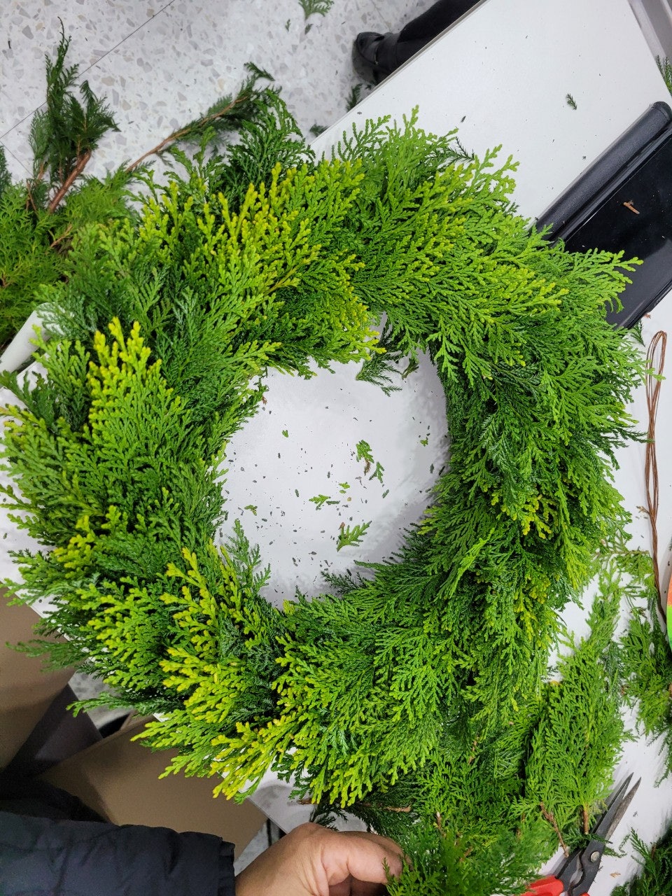 사용자가 올린 이미지