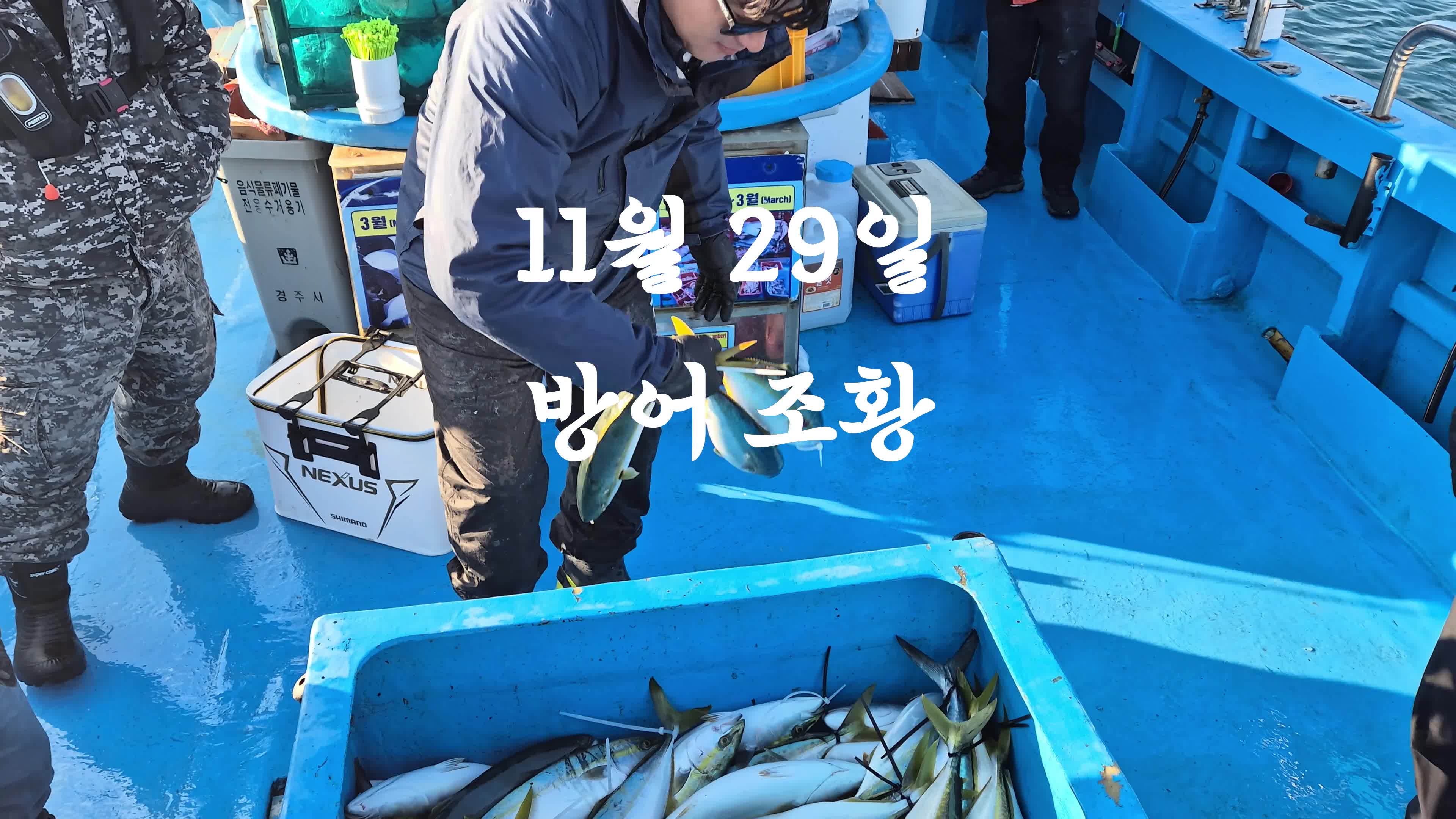 h_j62Ud018svc12lphw9437fos_qs86qm.jpg