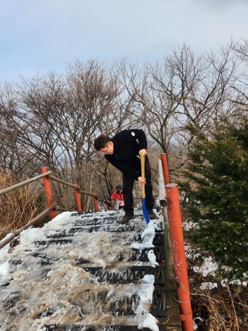 사용자가 올린 이미지