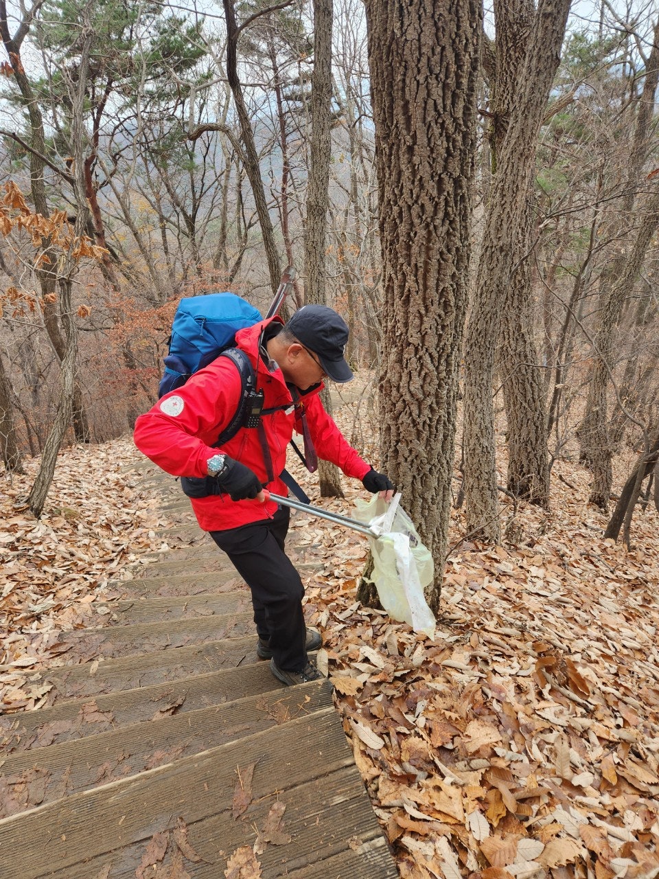 사용자가 올린 이미지