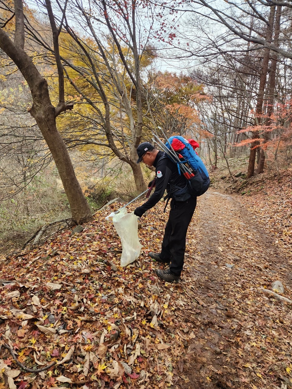 사용자가 올린 이미지