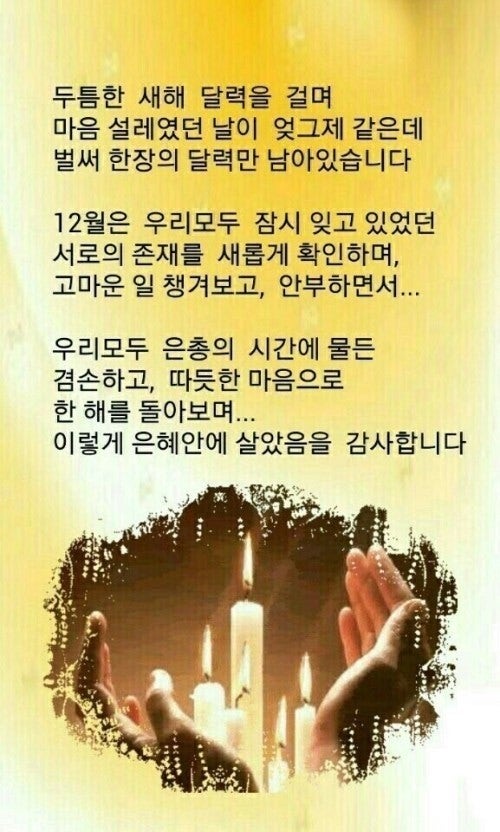 사용자가 올린 이미지