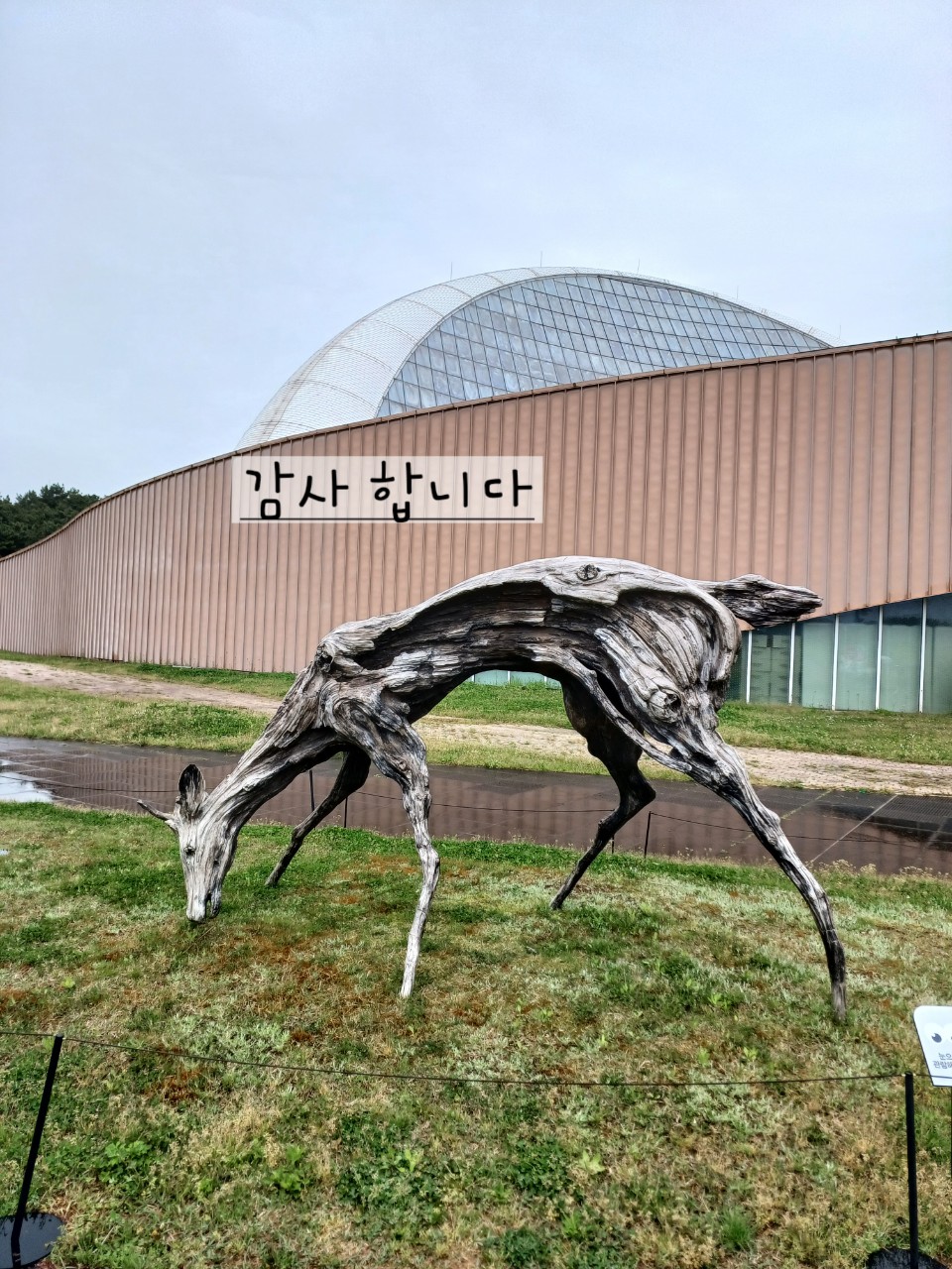 레져선 3톤 선외기 250마력 판매합니다.