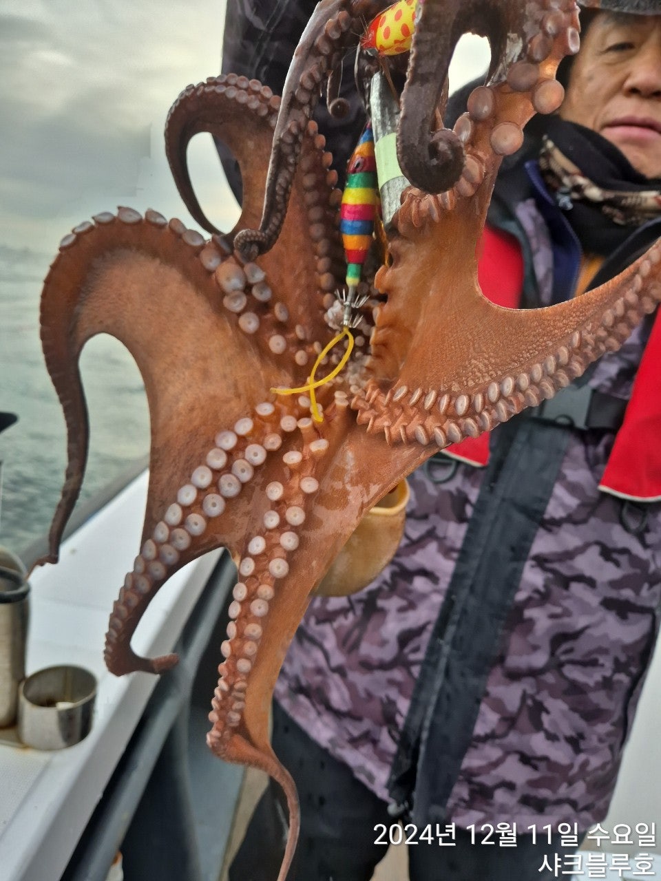 사용자가 올린 이미지