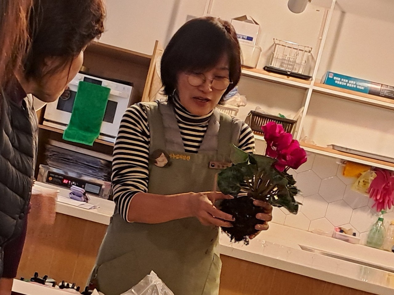 사용자가 올린 이미지
