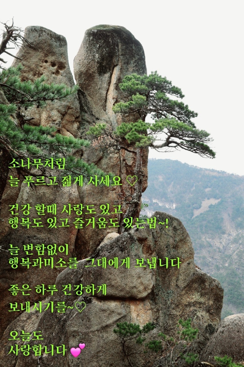 사용자가 올린 이미지