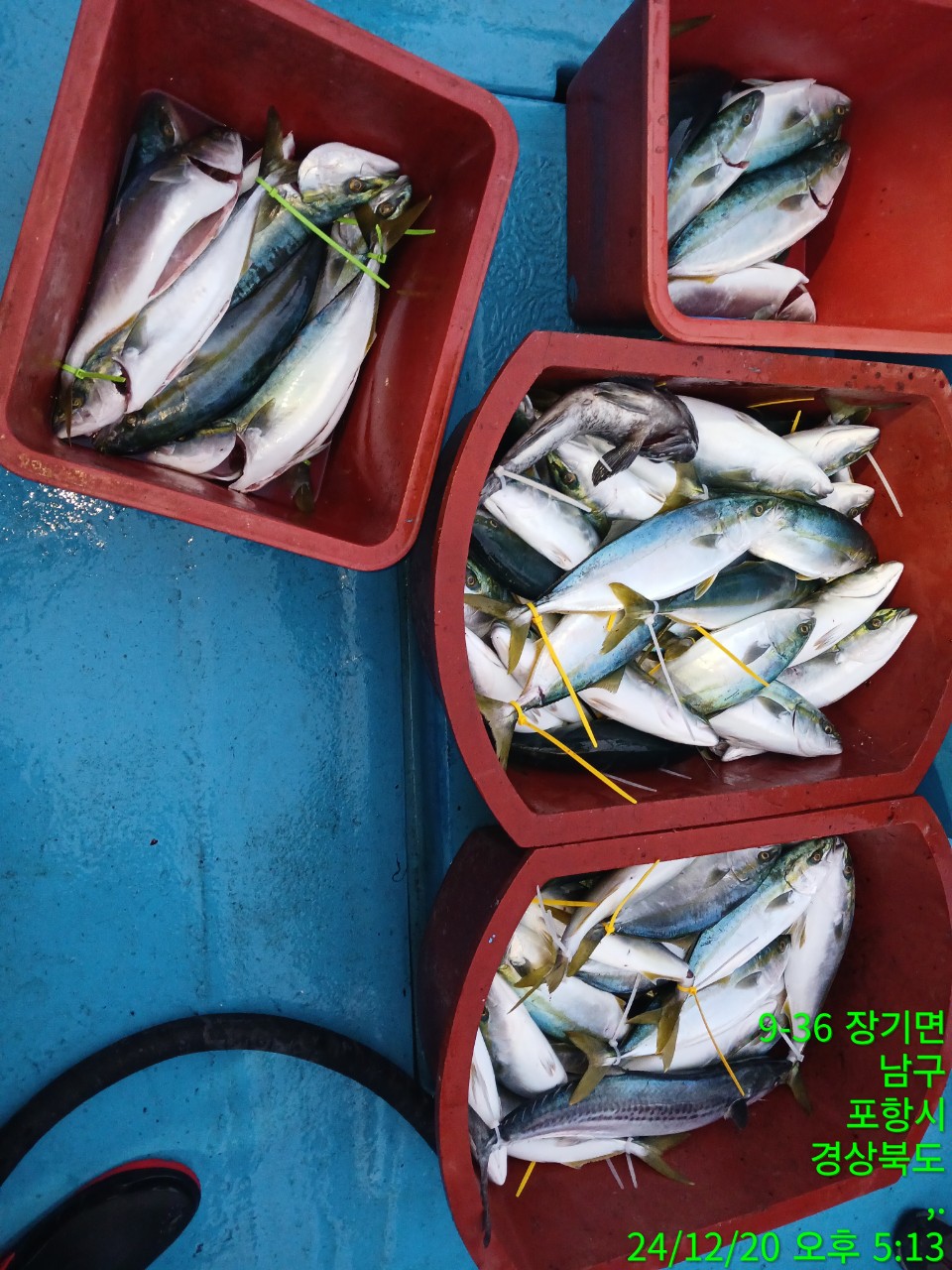 6_fcbUd018svc10t742cpy8jwq_9bt2m0.jpg
