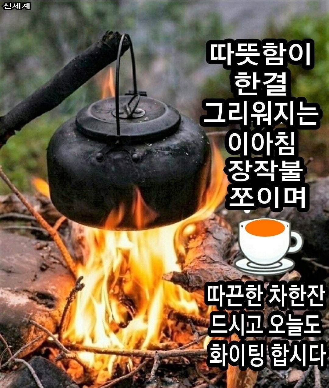 사용자가 올린 이미지