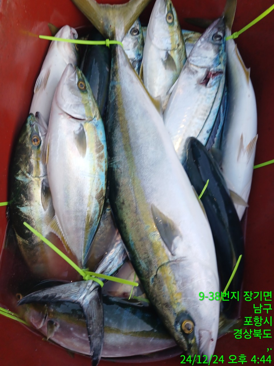 g_9hbUd018svcy6piar3tps56_9bt2m0.jpg
