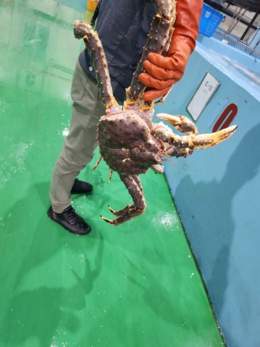 사진
