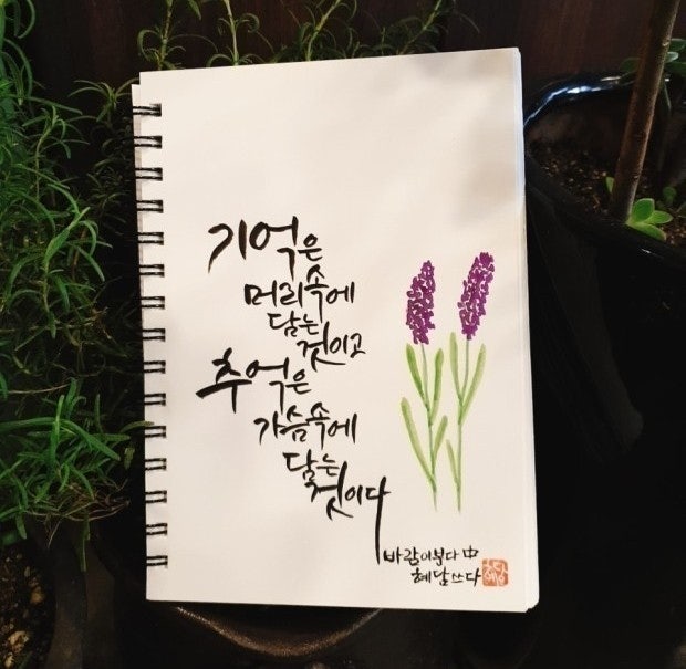 사용자가 올린 이미지