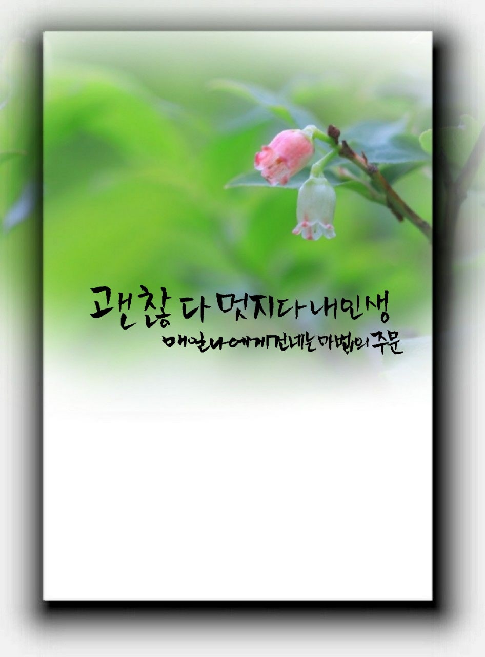 사용자가 올린 이미지