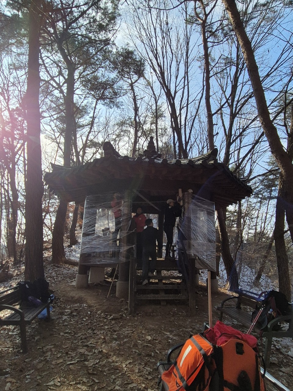 사용자가 올린 이미지