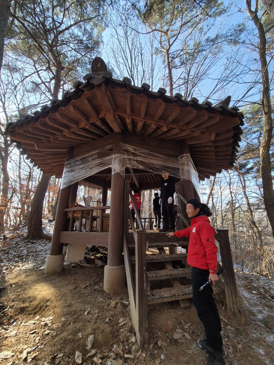 사용자가 올린 이미지