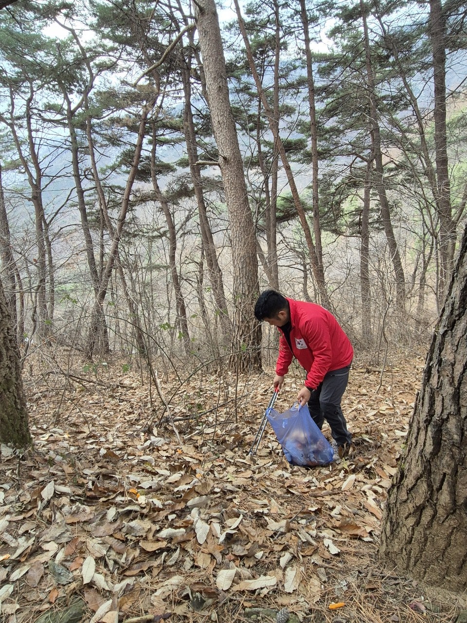 사용자가 올린 이미지