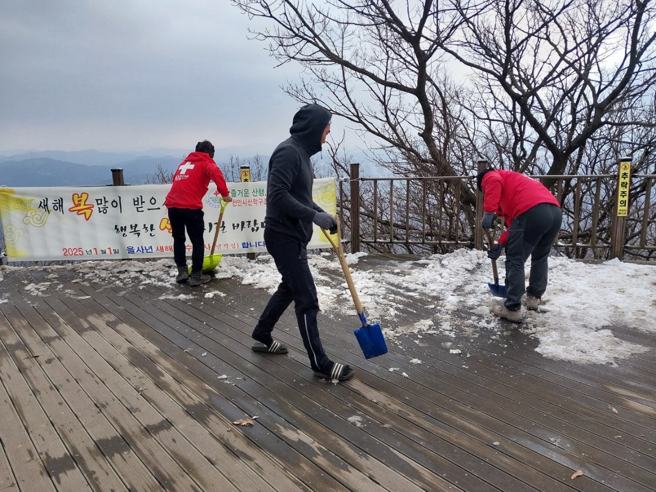 사용자가 올린 이미지