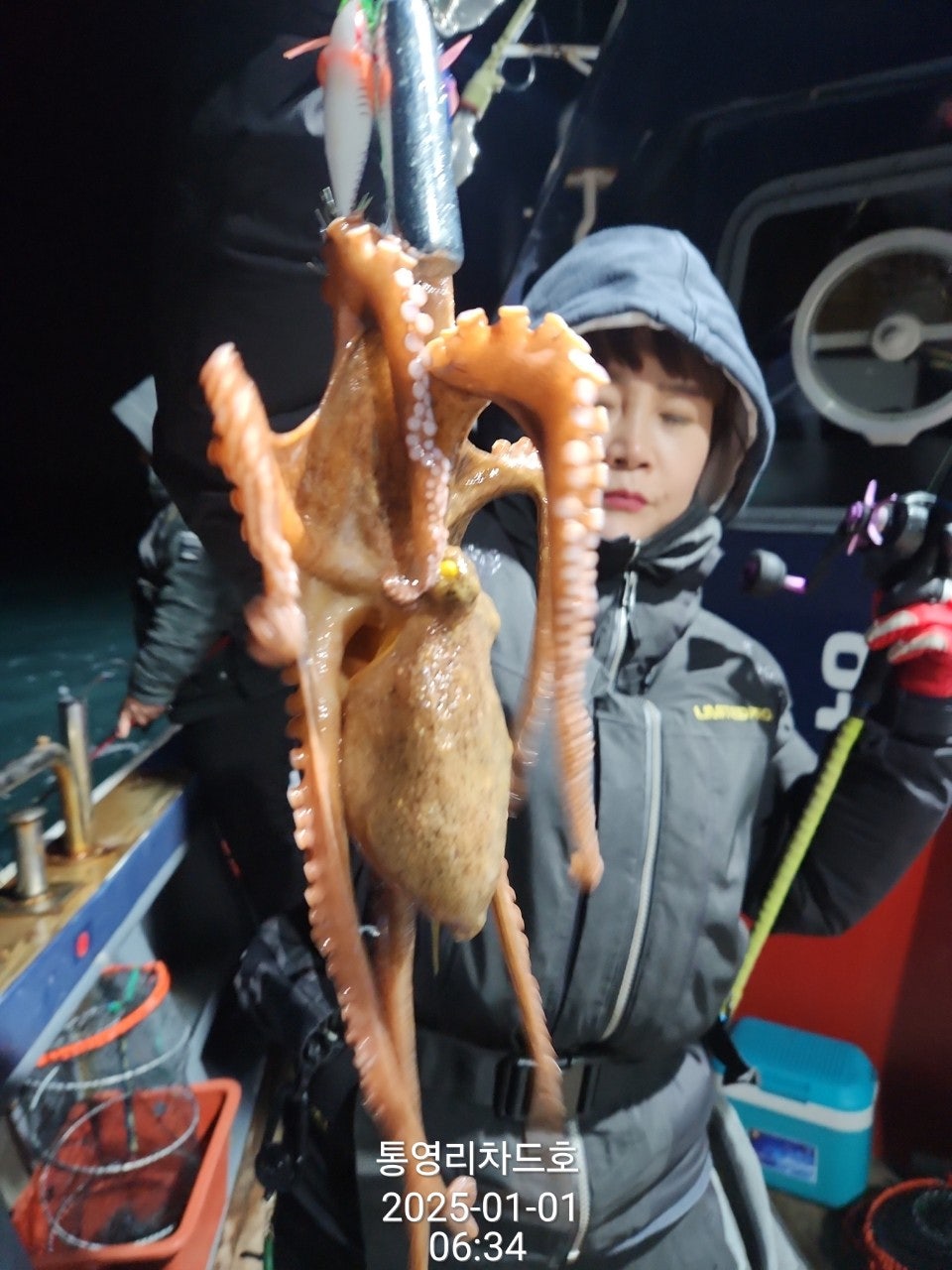 사용자가 올린 이미지