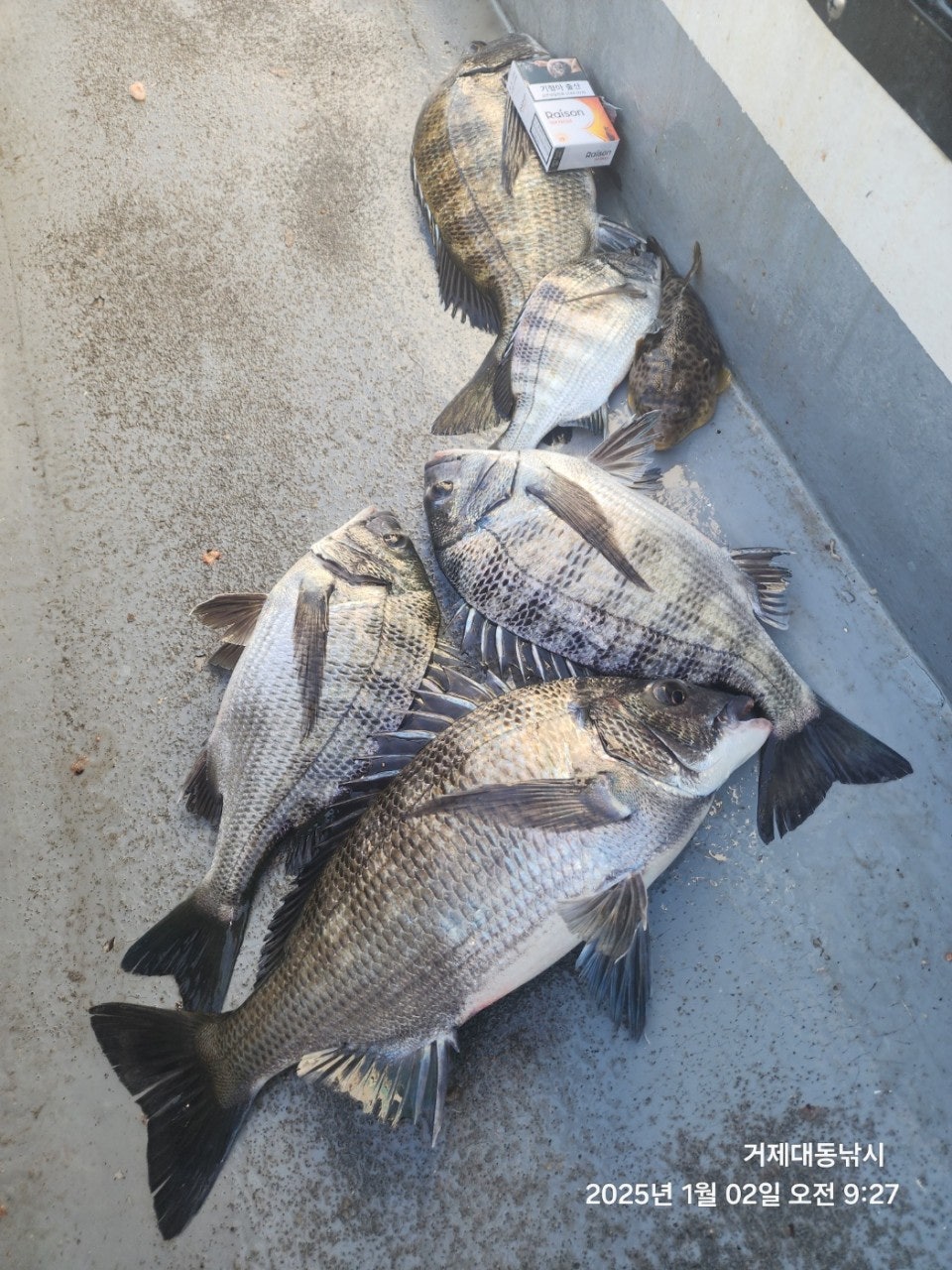 사용자가 올린 이미지