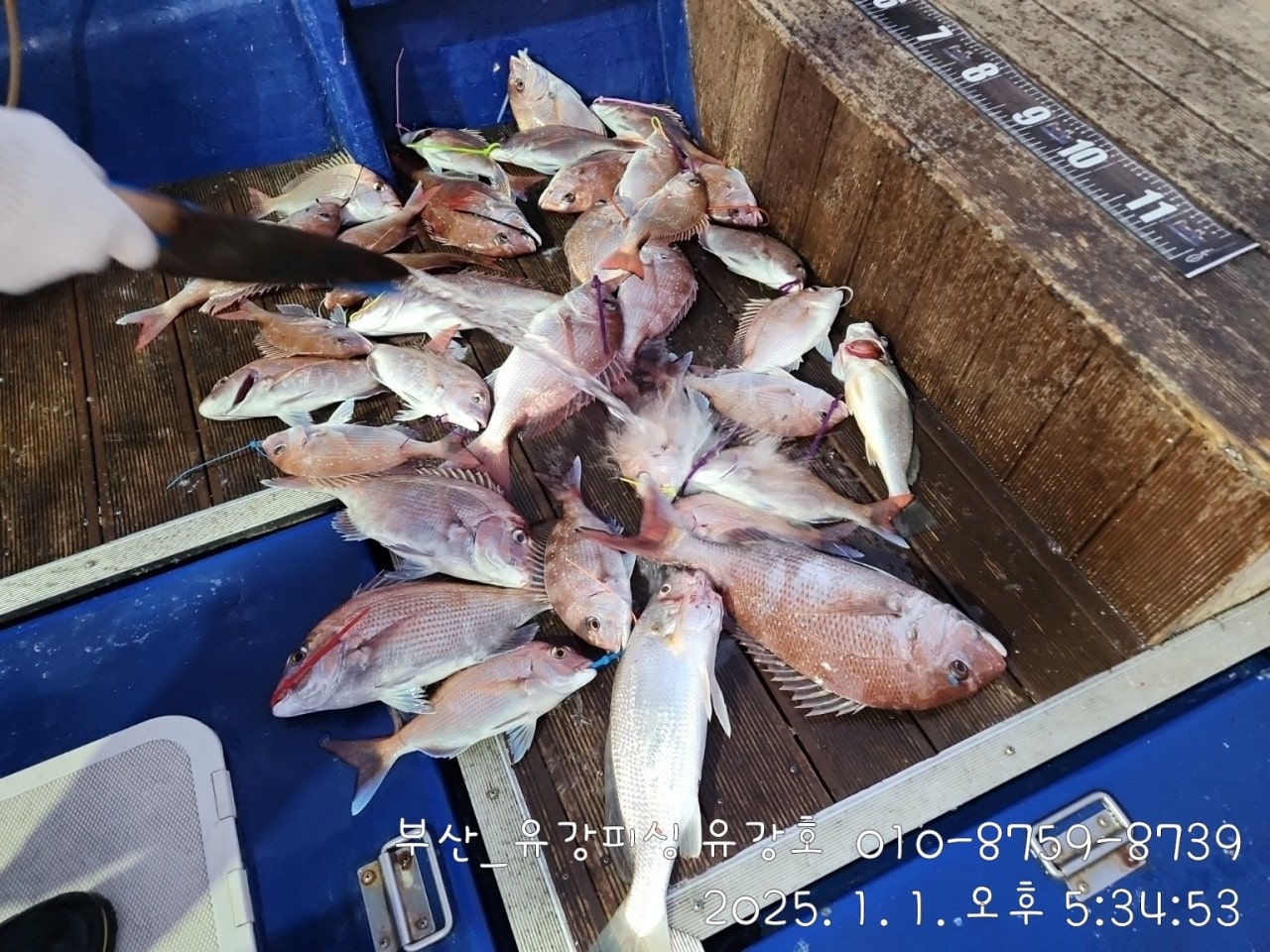 사용자가 올린 이미지