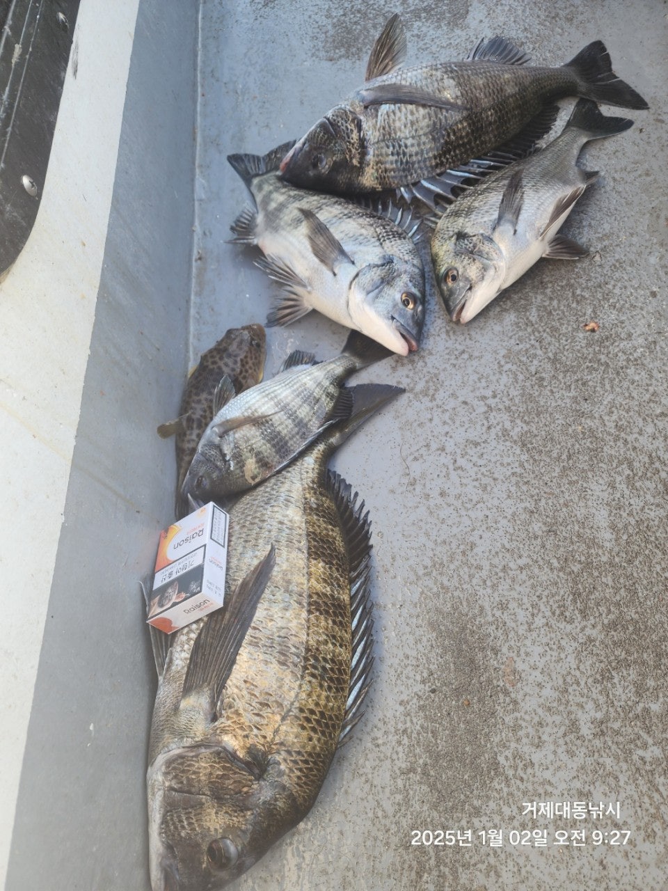 사용자가 올린 이미지