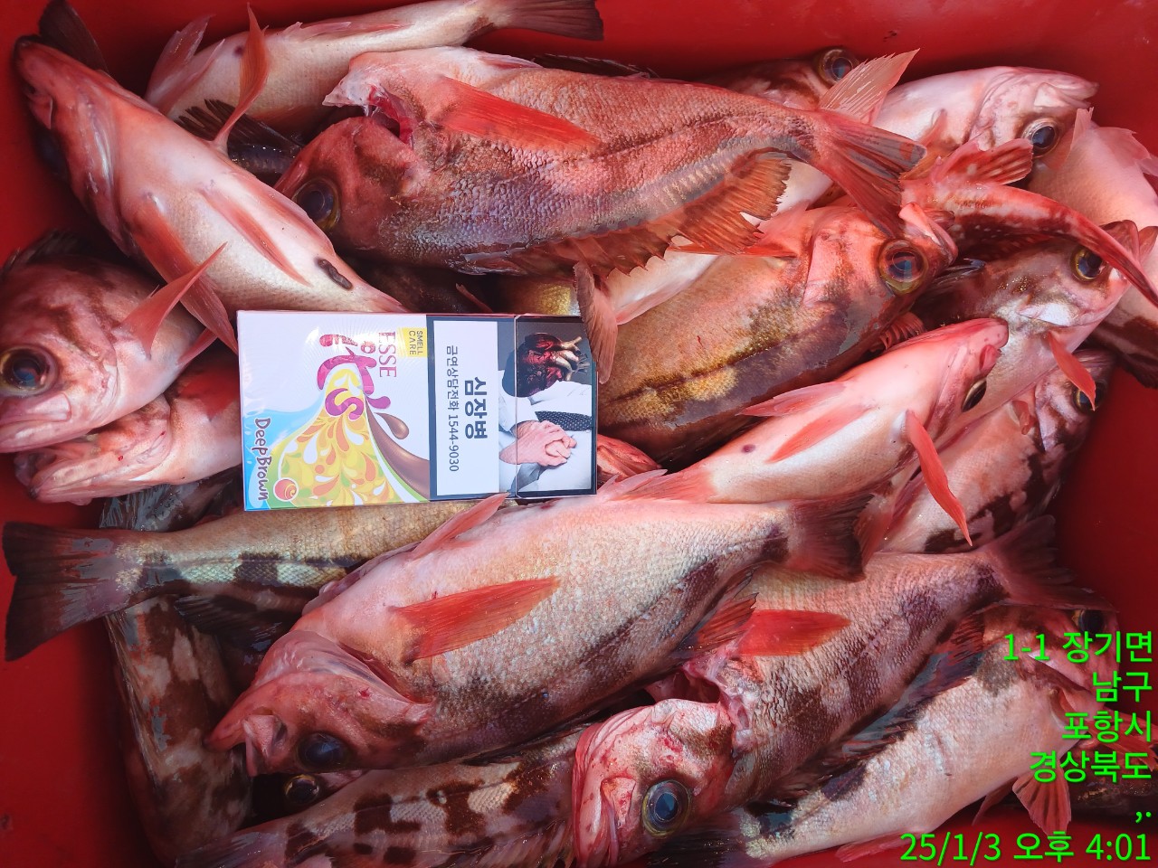 4_f55Ud018svc18eo9mo3c9kp9_9bt2m0.jpg