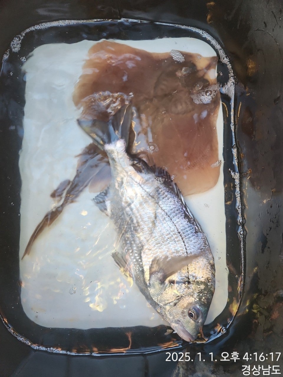 사용자가 올린 이미지