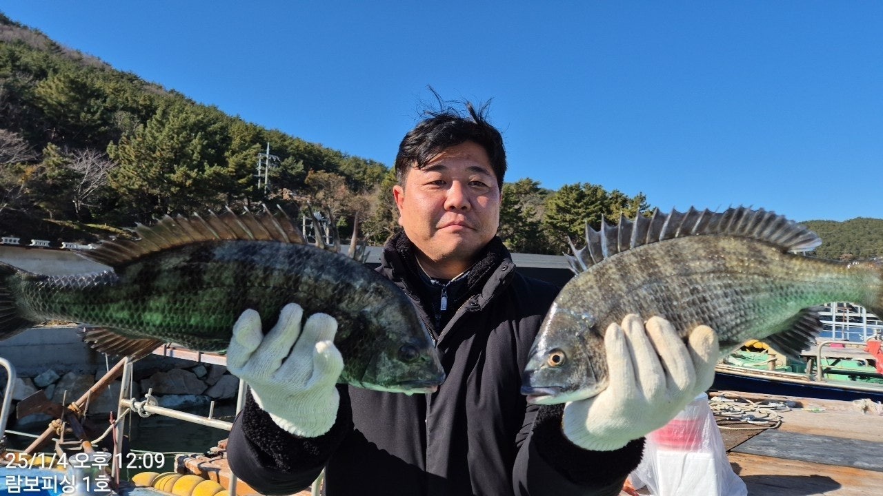 사용자가 올린 이미지