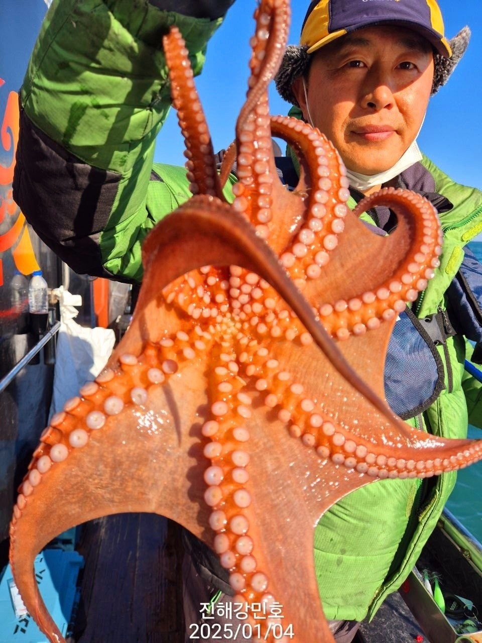 사용자가 올린 이미지