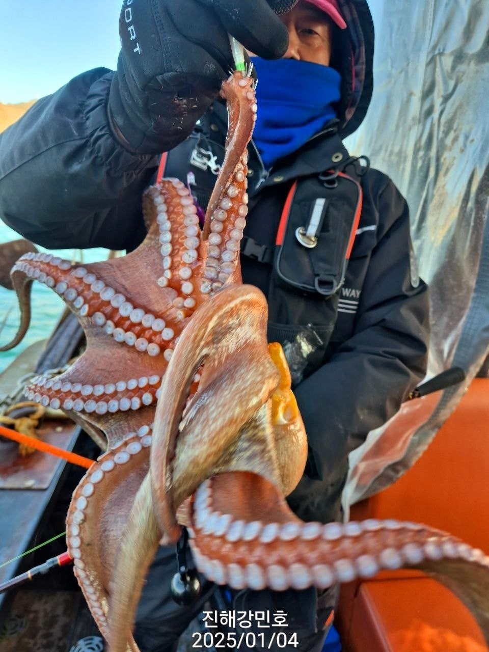 사용자가 올린 이미지