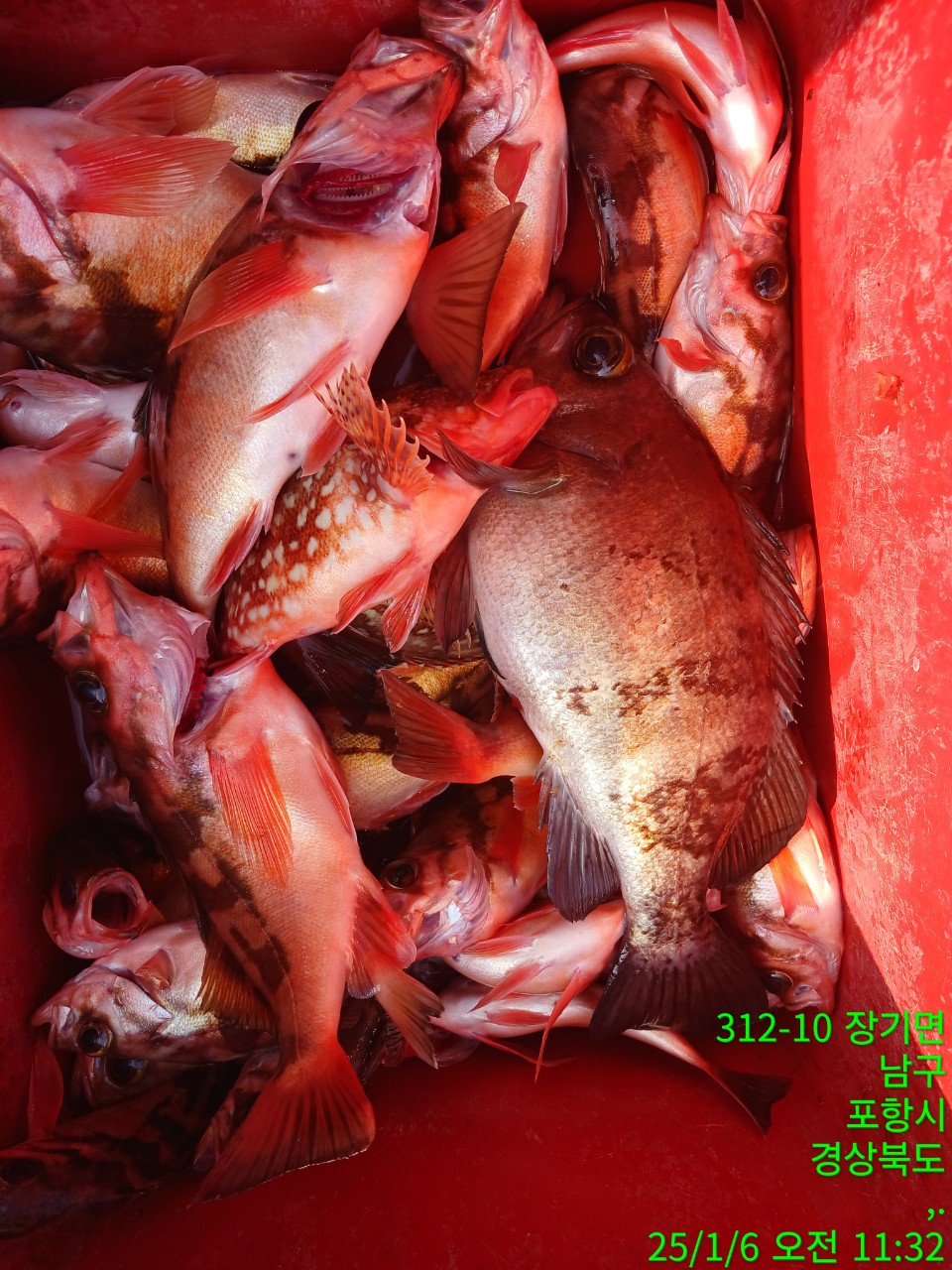 g_c0jUd018svc5bio7sut3v5v_9bt2m0.jpg