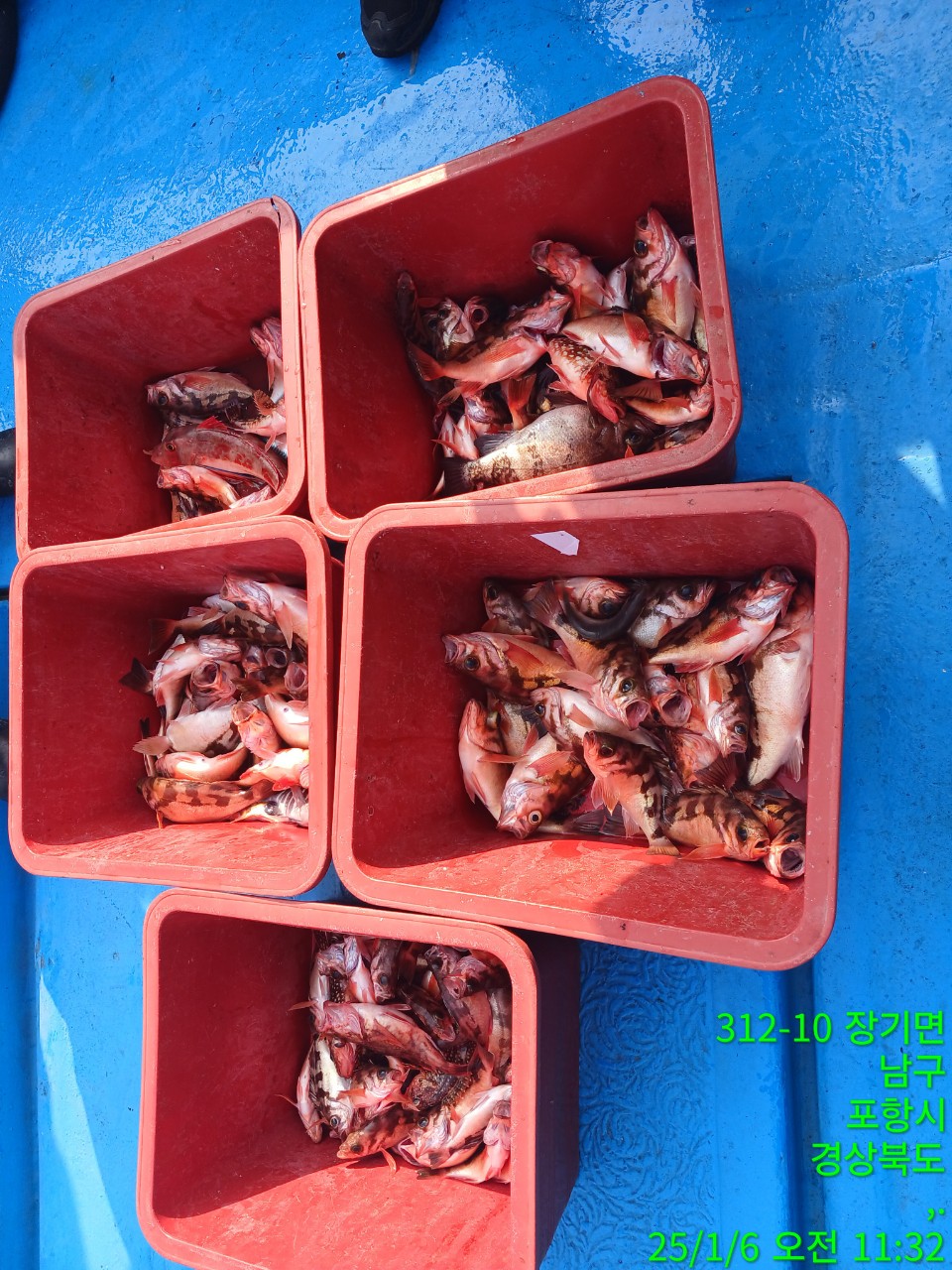 g_50jUd018svc13sq7x75fsofn_9bt2m0.jpg