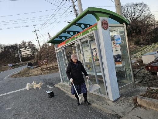 사진