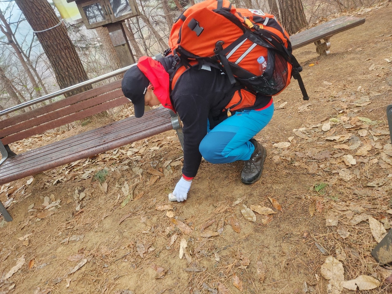 사용자가 올린 이미지