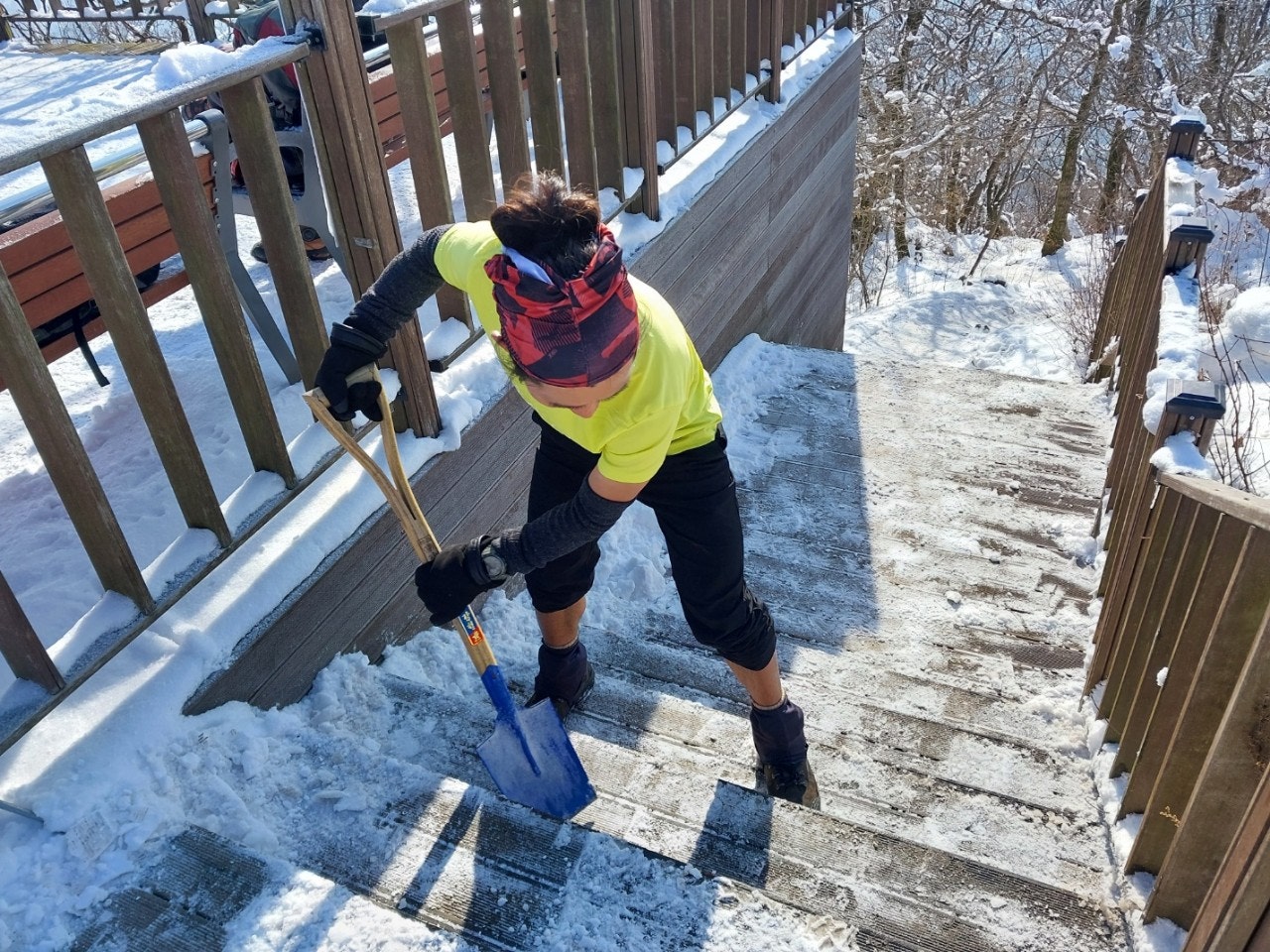 사용자가 올린 이미지