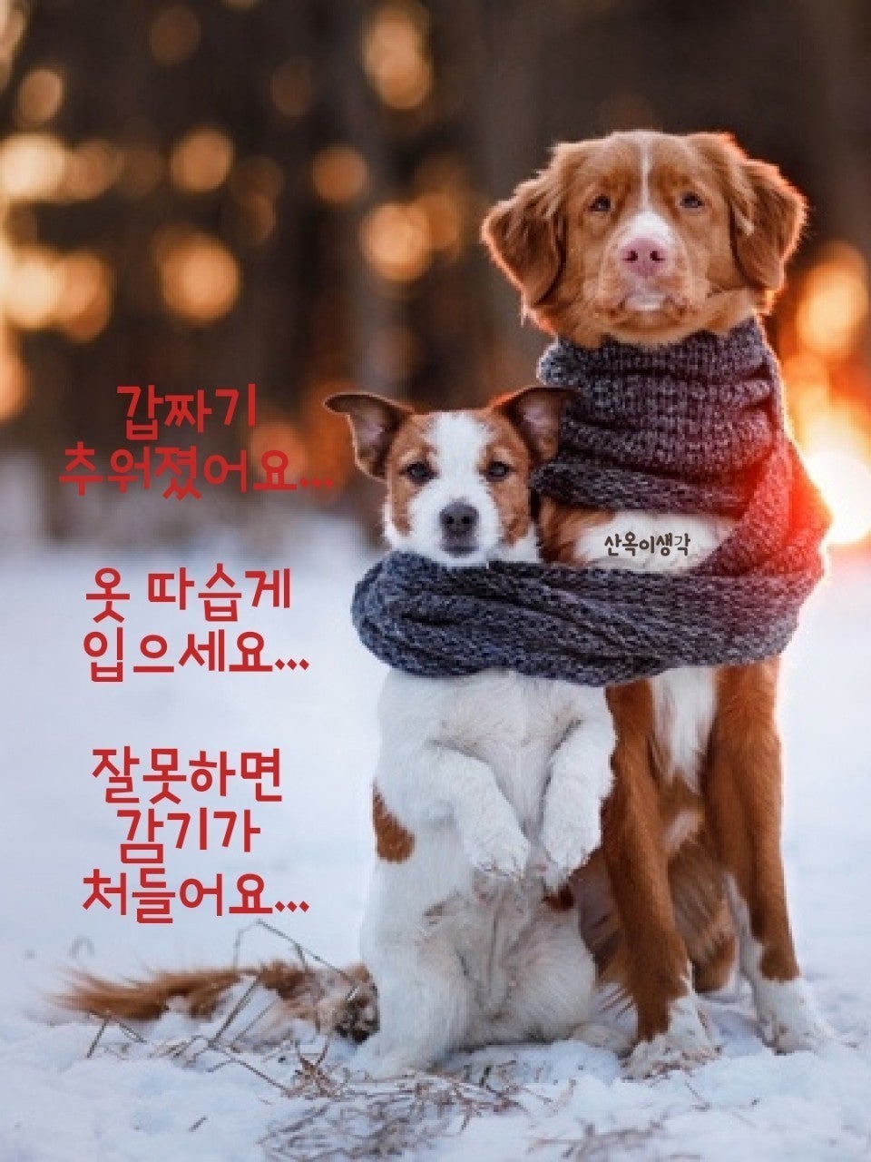 사용자가 올린 이미지