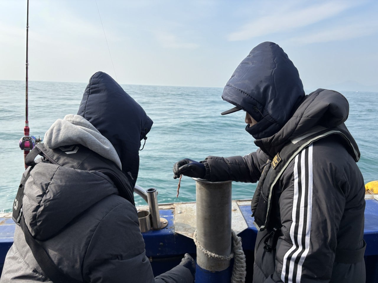 사용자가 올린 이미지