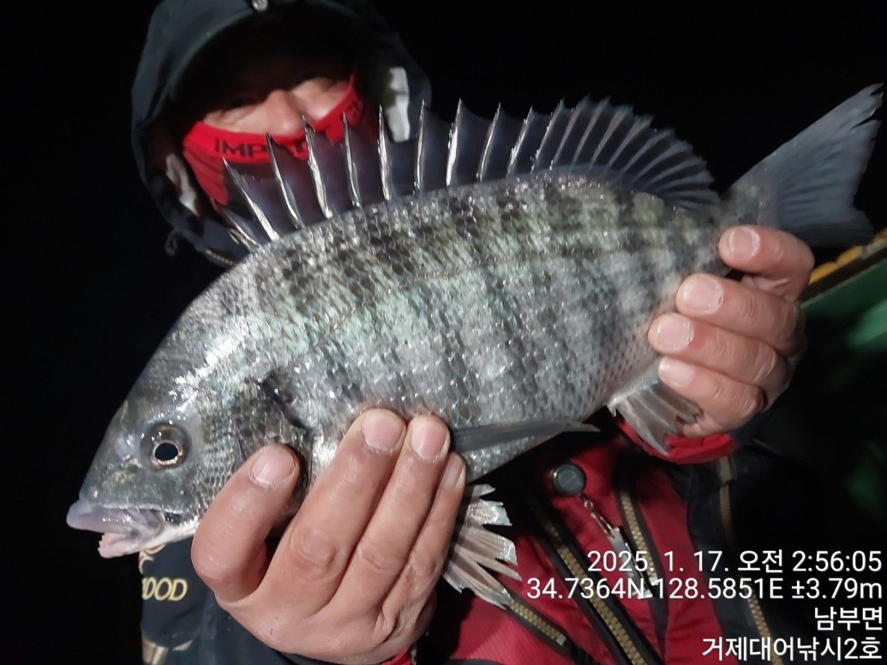 사용자가 올린 이미지