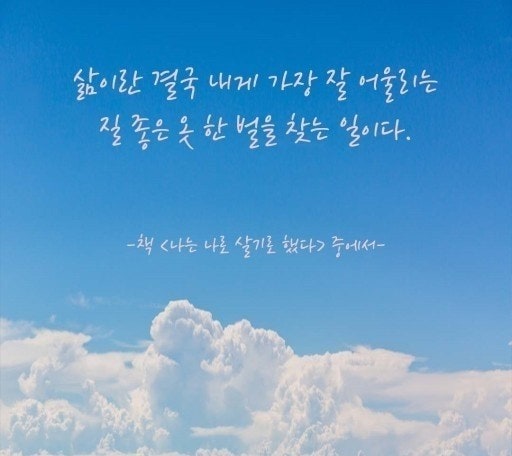 사용자가 올린 이미지