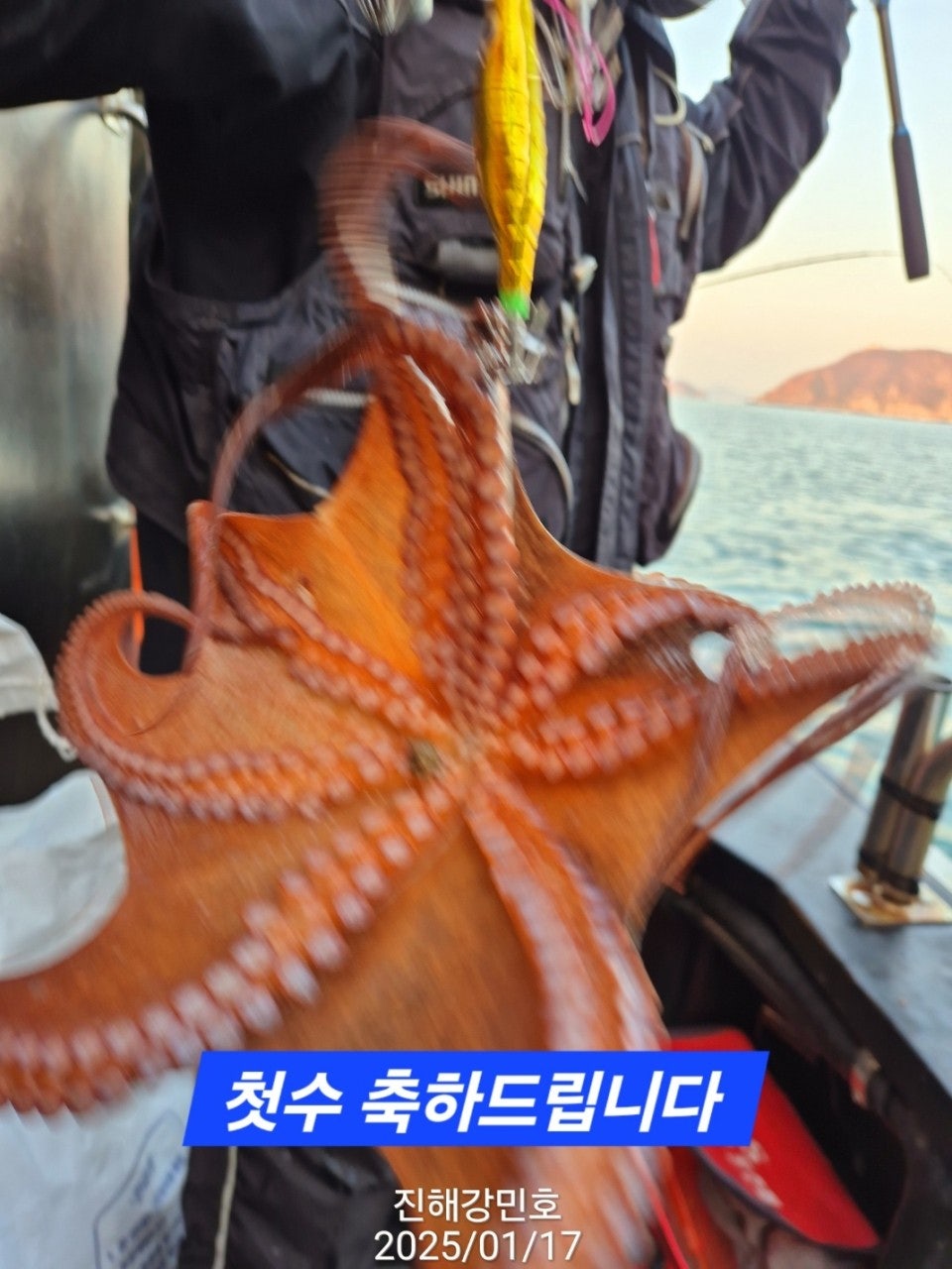 사용자가 올린 이미지
