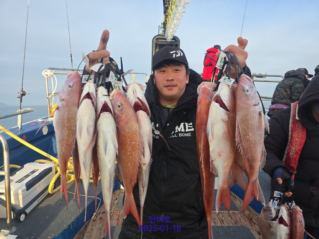 사용자가 올린 이미지