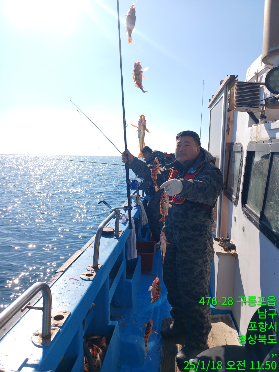 d_f54Ud018svc1at6x078nwn5d_9bt2m0.jpg