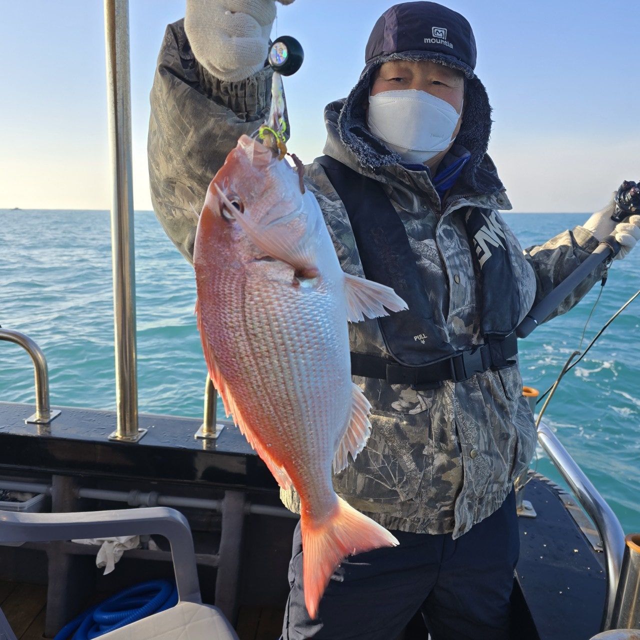 사용자가 올린 이미지