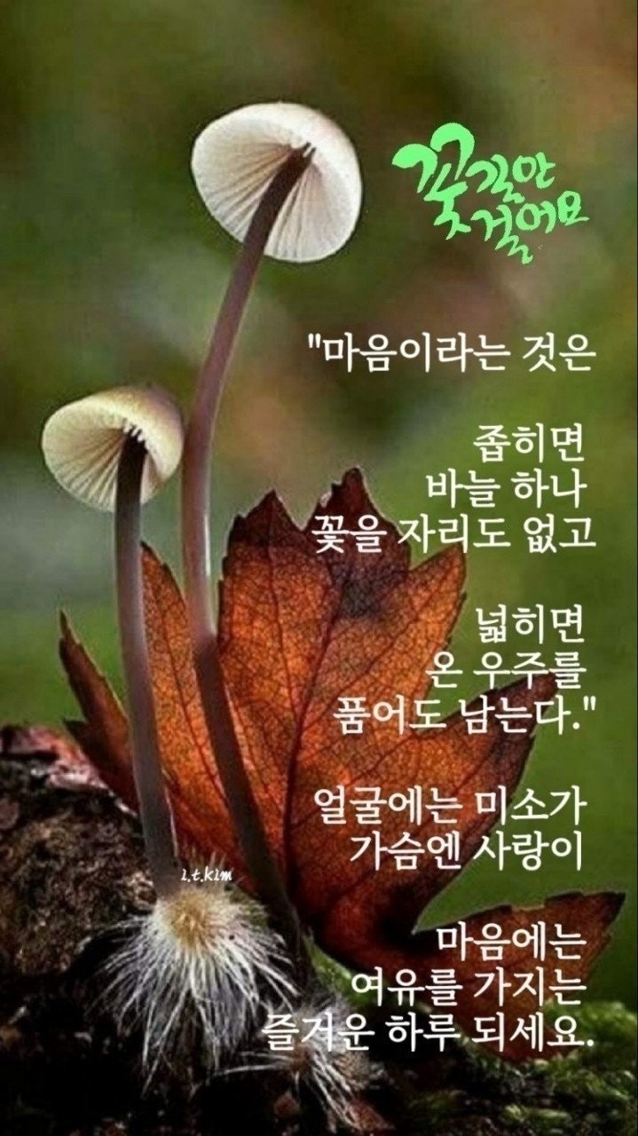 사용자가 올린 이미지