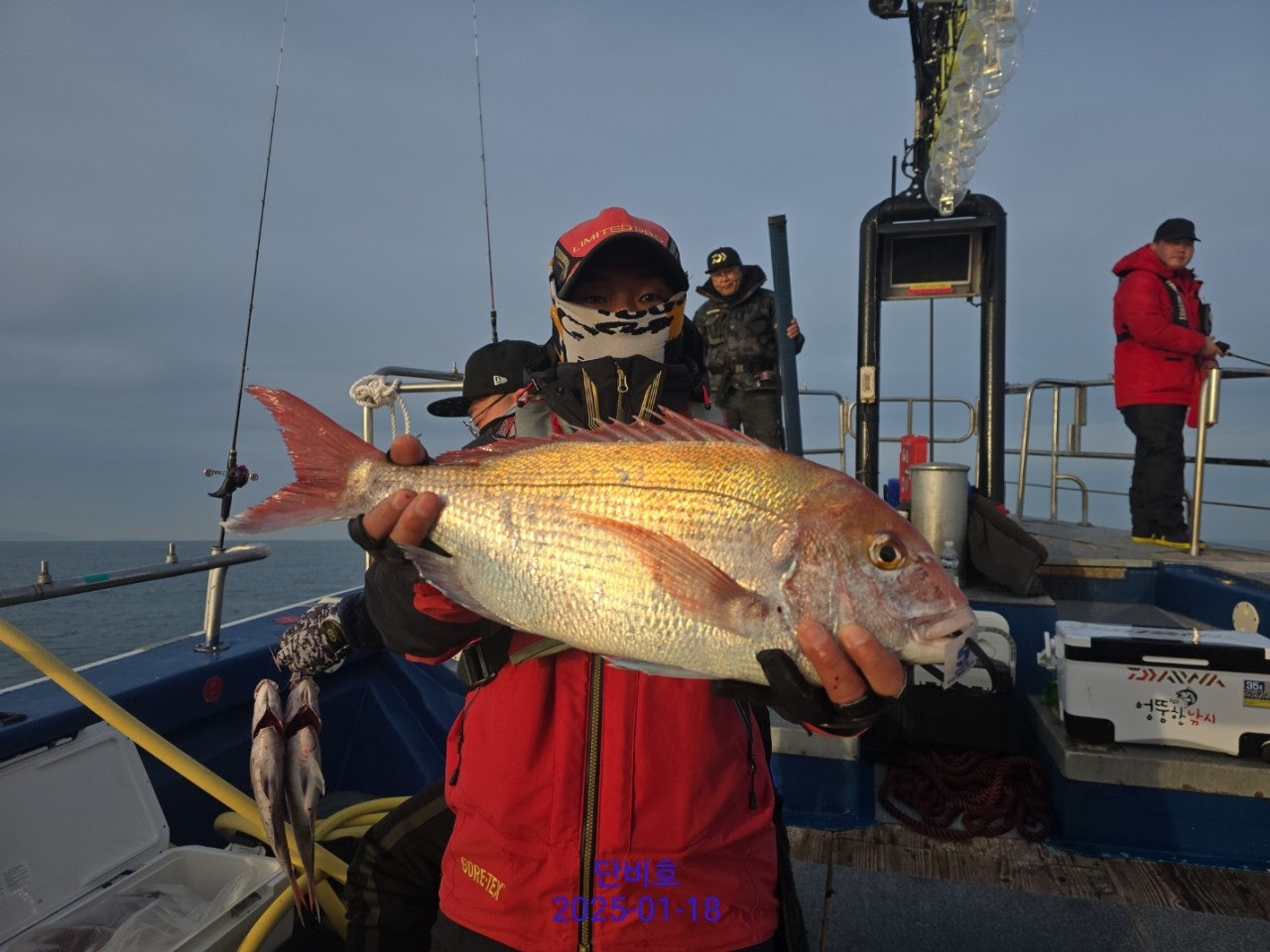 사용자가 올린 이미지