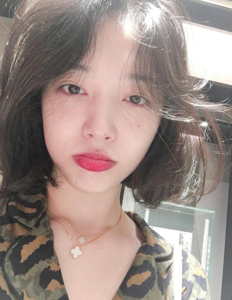 사용자가 올린 이미지