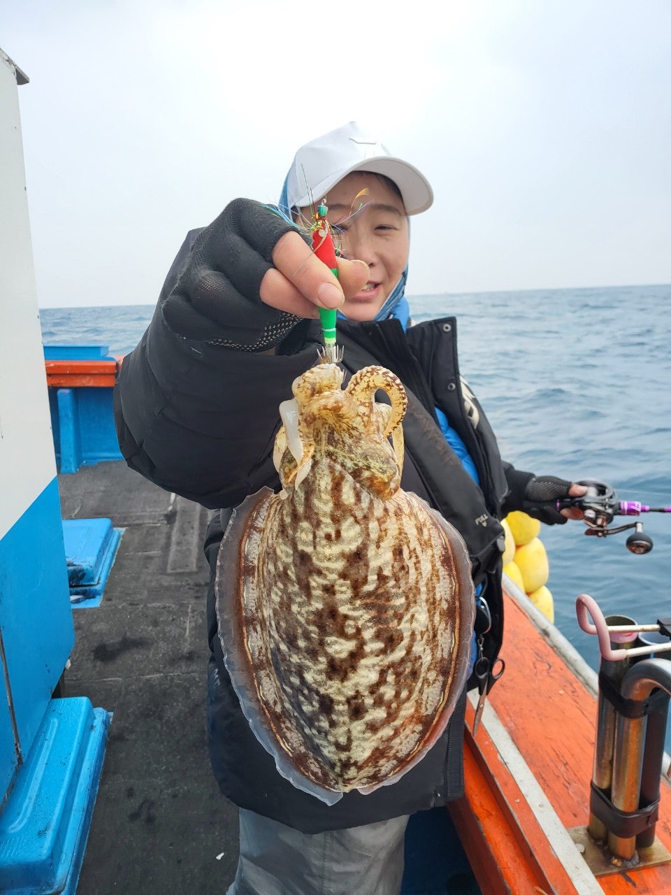 사용자가 올린 이미지